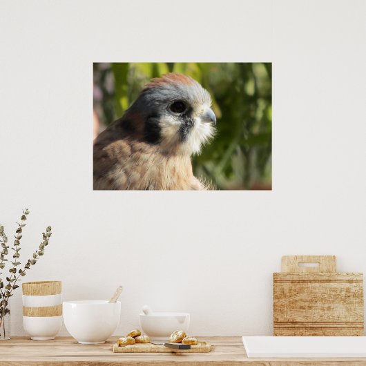 Kestrel Poster (Küche)