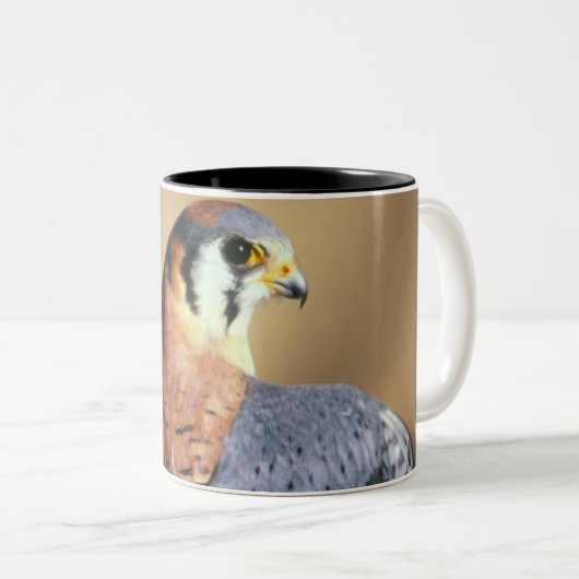 Kestrel-Schale Zweifarbige Tasse (VorderseiteRechts)