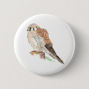 Kestrel-Spatzen-Falke, Aquarell-Vogel Button