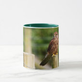 Kestrel Tasse (Zentrum)