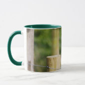 Kestrel Tasse (Links)