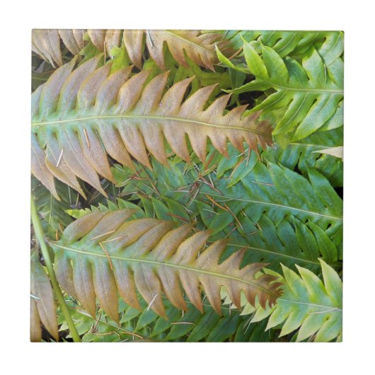 Kette Fern Fronds Floral Fliese (Vorderseite)