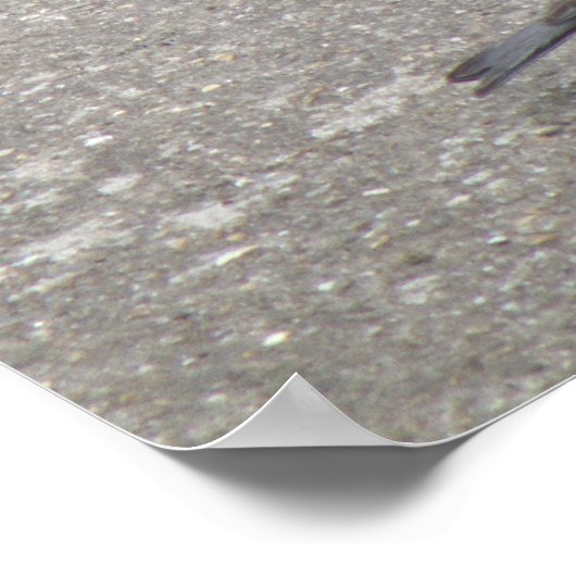 Ketten-Kick-Gets Gefüttert Druck Poster (Ecke)