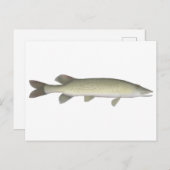 Kettenpickerel Postkarte (Vorne/Hinten)