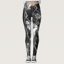 Kettenverbindungszaun und Spinnennetz
