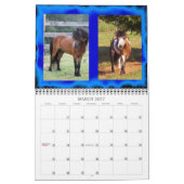 Kettermans Lil Pondarosa Minikalender Kalender (Mär 2027)