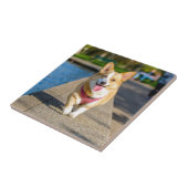 Keuchen glücklichen niedlichen Blau und Brown mit Fliese (Seite)