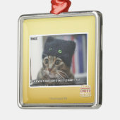 Keuchen! Silbernes Ornament (Links)