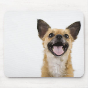 Keuchenhund Mousepad