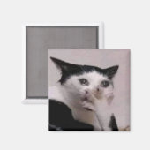 Keuchkatze Meme Magnet (Vorderseite/Rückseite)