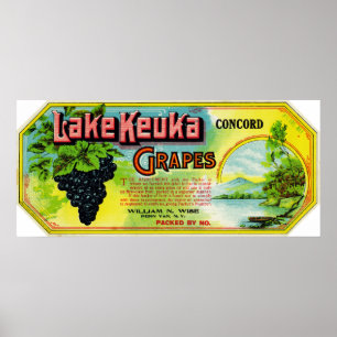 Keuka Concord Trauben-Label Poster