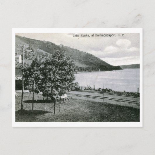 Keuka-See, Hammondsport, NY Vintag Postkarte (Vorderseite)