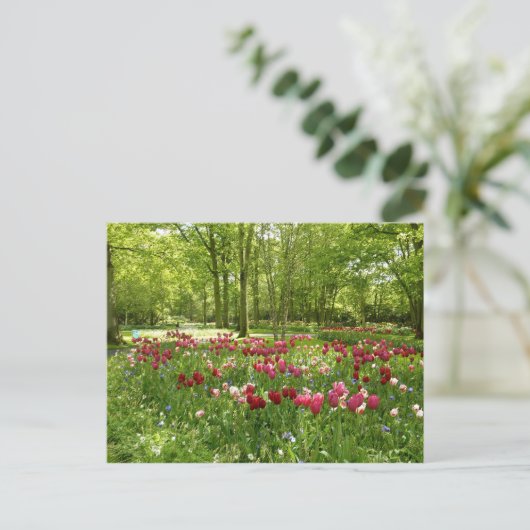 Keukenhof 2 postkarte (Stehend Vorderseite)