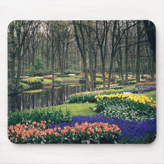 Keukenhof, ein Blumenbankett Mousepad (Vorne)