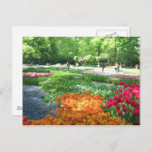Keukenhof garden - Holland Postkarte (Vorne/Hinten)