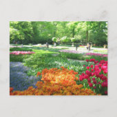 Keukenhof garden - Holland Postkarte (Vorderseite)