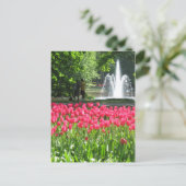 Keukenhof garden - Holland Postkarte (Stehend Vorderseite)