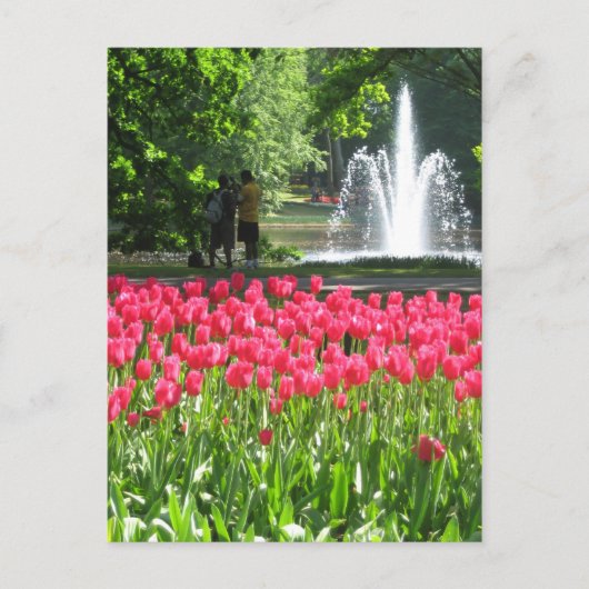 Keukenhof garden - Holland Postkarte (Vorderseite)