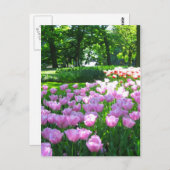 Keukenhof garden - Holland Postkarte (Vorne/Hinten)