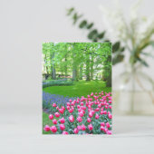 Keukenhof garden - Holland Postkarte (Stehend Vorderseite)