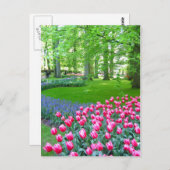 Keukenhof garden - Holland Postkarte (Vorne/Hinten)