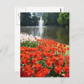 Keukenhof garden - Holland Postkarte (Vorne/Hinten)
