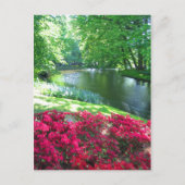 Keukenhof garden - Holland Postkarte (Vorderseite)