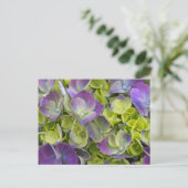 Keukenhof Garden Hydrangea Postkarte (Stehend Vorderseite)