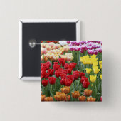 Keukenhof Gardens, Holland, spezialisiert auf 2 Button (Vorne & Hinten)