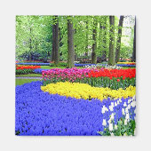 KEUKENHOF GARDENS, LISSE HOLLAND MAGNET (Vorne)
