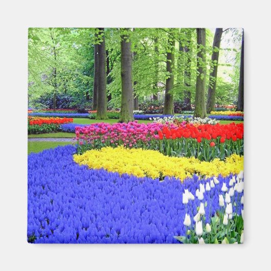 KEUKENHOF GARDENS, LISSE HOLLAND MAGNET (Vorne)