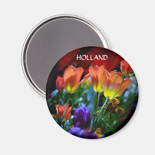 KEUKENHOF GARDENS, LISSE HOLLAND MAGNET (Vorderseite/Rückseite)