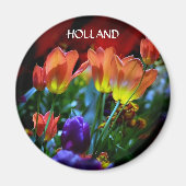 KEUKENHOF GARDENS, LISSE HOLLAND MAGNET (Vorne)