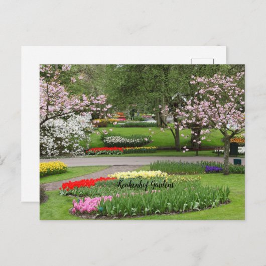 Keukenhof Gardens, Niederlande Postkarte (Vorne/Hinten)