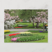 Keukenhof Gardens, Niederlande Postkarte (Vorderseite)