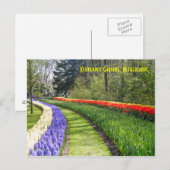Keukenhof Gardens, Niederlande Postkarte (Vorne/Hinten)