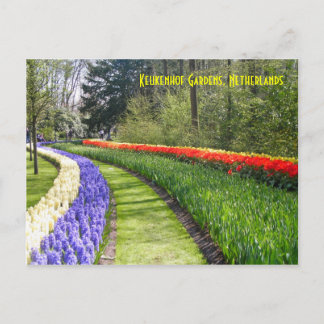 Keukenhof Gardens, Niederlande Postkarte