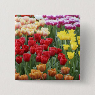 Keukenhof-Gärten, Holland, spezialisiert sich auf  Button
