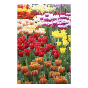 Keukenhof-Gärten, Holland, spezialisiert sich auf  Fotodruck