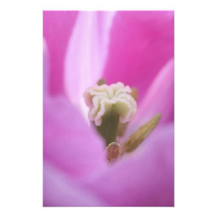 Keukenhof-Gärten, Holland, spezialisiert sich auf Fotodruck