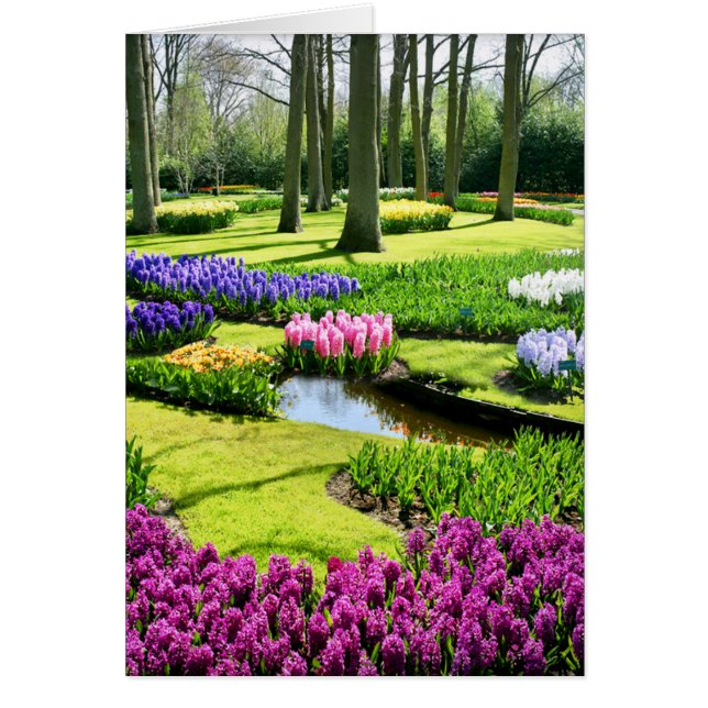 KEUKENHOF GÄRTEN, LISSE HOLLAND (Vorne)
