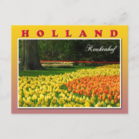 Keukenhof, Lisse, Niederlande Postkarte (Vorderseite)