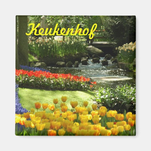 Keukenhof Magnet (Vorne)