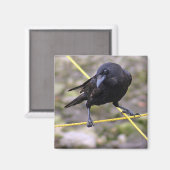 Keule an Kreuzung Magnet (Vorderseite/Rückseite)