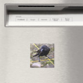 Keule an Kreuzung Magnet (In Situ (Geschirrspüler))