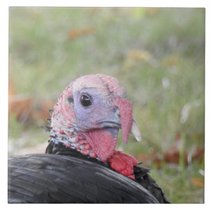 Kevin in der Türkei im Gras sitzen Fliese