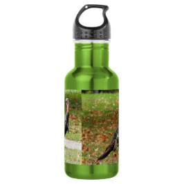 Kevin the Turkey - Old Wethersfield , CT (2 Bilder Edelstahlflasche