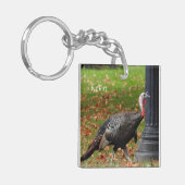 Kevin the Turkey - Old Wethersfield , CT (2 Bilder Schlüsselanhänger (Vorderseite links)