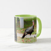 Kevin the Turkey - Old Wethersfield , CT (2 Bilder Tasse (VorderseiteRechts)