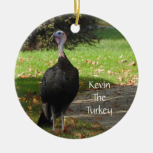 Kevin the Turkey - Old Wethersfield , CT (2 Seiten Keramik Ornament